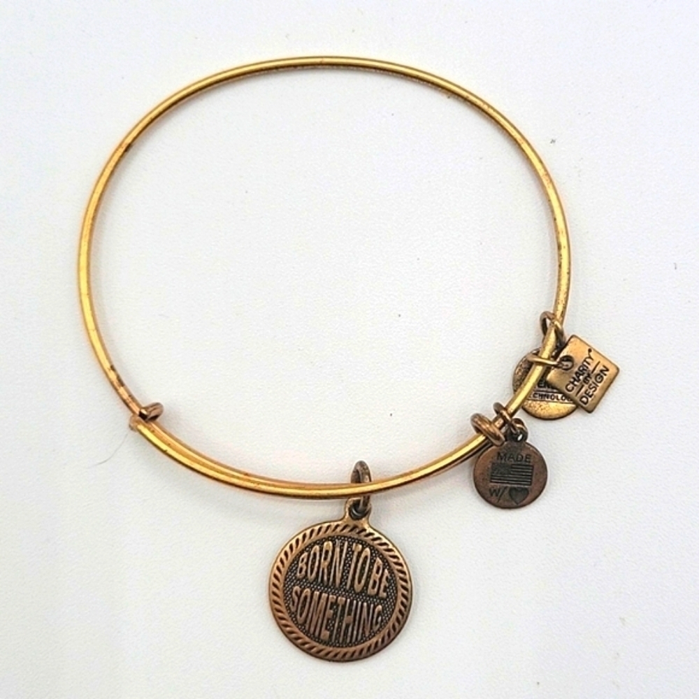 Alex and Ani Rafaelian Gold Bangle Bracelet Born to Be Something